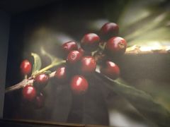 -星巴克(厦门SM新生活广场店)