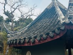 -香雪海