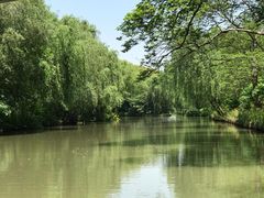 -同里国家湿地公园