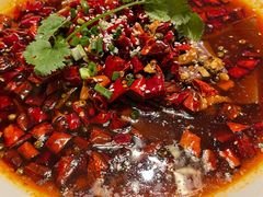 毛血旺-新白鹿餐厅(城西银泰城店)