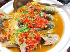 高压黄古鱼-野渡坡·极致湘菜·庭院餐厅(汉阳店)