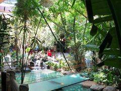 -大鹅岛绿色生态美食园