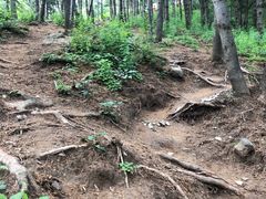 -北京鹫峰国家森林公园
