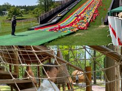 -黄海国家森林公园