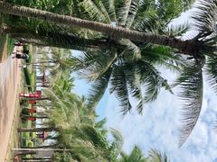 -白沙门生态公园