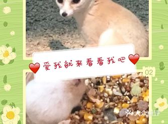 这个春暖花开季节，相对安全的时期，戴上口罩