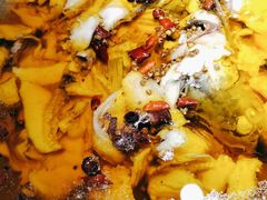 -雲蜀龙阁·金牌水煮鱼(方庄店)