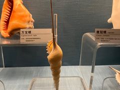 -常州博物馆