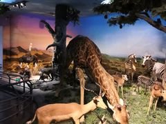 -国家自然博物馆