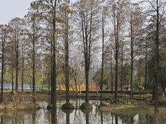 -东湖听涛景区