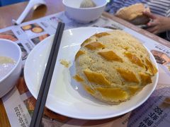 -美食小镇·观赏珍稀鸟类·长隆熊猫酒店