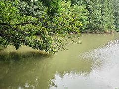 -艾溪湖湿地公园
