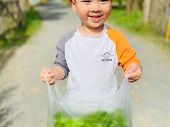 -前小桔亲子创意农场·草莓采摘·露营烧烤