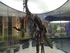 -金钉子远古世界景区