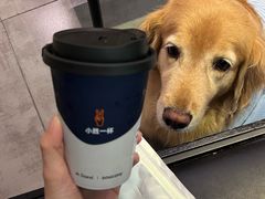 -M Stand(深圳龙岗万科广场店)