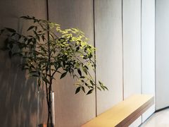 -上海佘山世茂艾美酒店