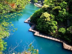 -祁门牯牛降观音堂风景区