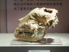 -咸宁市博物馆