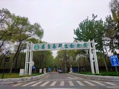 -秦皇岛野生动物园