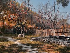 -Supine Bistro溯泮餐厅