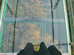 -陶祖圣境风景区