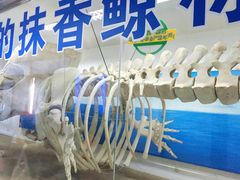 -厦门海底世界
