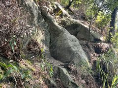 -南山植物园