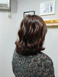 -藤野造型