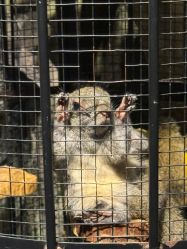 -酷嗒动物文化乐园(cutezoo西溪乐天城店)