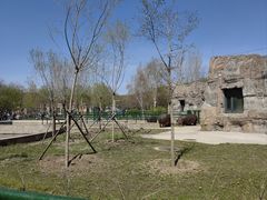 -哈尔滨北方森林动物园