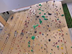 -ROCKPLUS攀岩馆(环宇城店)