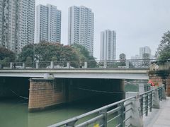 -成都市活水公园