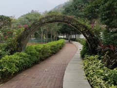 -香港大学