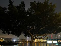 -亚利咖喱屋