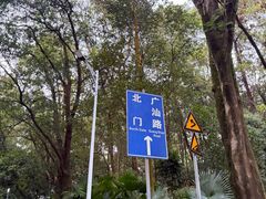 -火炉山森林公园