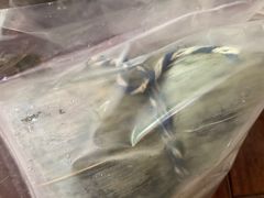 -朗迪姆餐厅(丰尚国际广场店)