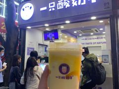 门面-一只酸奶牛(八一路店)