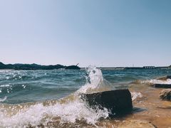 -望湖烤鱼