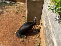 -昆明动物园