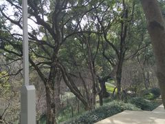 -飞凤山奥体公园