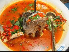 -坛宗剁椒鱼头(河西王府井店)