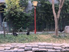 -西安曲江寒窑遗址公园