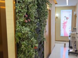 -芳朵美容养生SPA