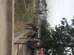 秦岭野生动物园-西安秦岭野生动物园