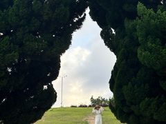 -小麦岛公园