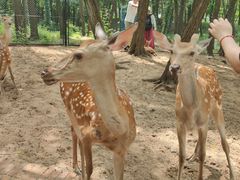 -南戴河国际娱乐中心