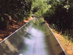 -富斯特索道