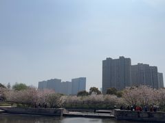 -诺贝尔湖公园