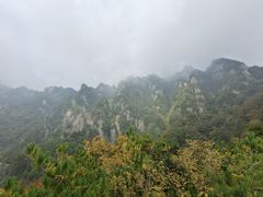 -王顺山国家森林公园