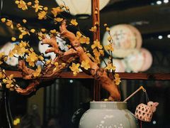 -鸟鹏烧鸟居酒屋(龙岗万科店)